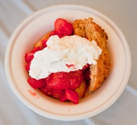The Beacon Sloop Club Annual Strawberry Festival, Beacon, New York, United States