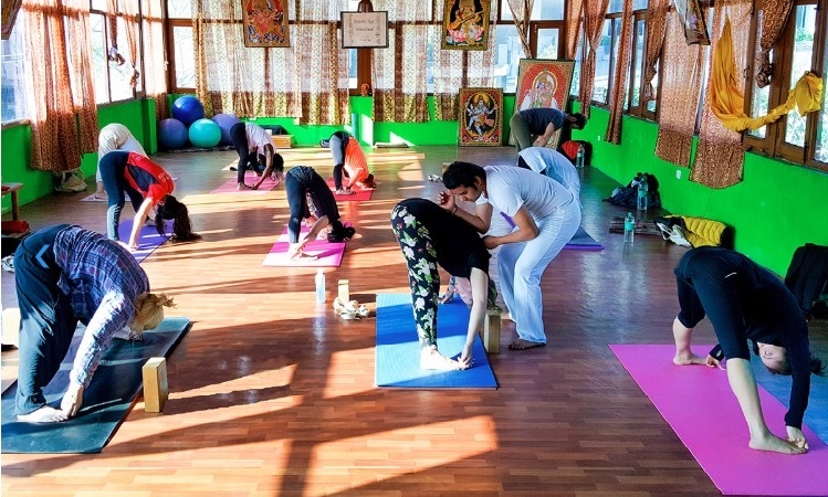 200 Hour Yoga Teacher Training - August 2019, Rishikesh, Uttarakhand, India