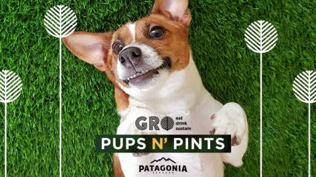 GROwynwood: Pups N' Pints, Miami-Dade, Florida, United States