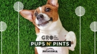 GROwynwood: Pups N' Pints