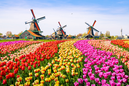 Sustainability Reporting and Communications Summit 2019, Schiphol-Rijk, Noord-Holland, Netherlands