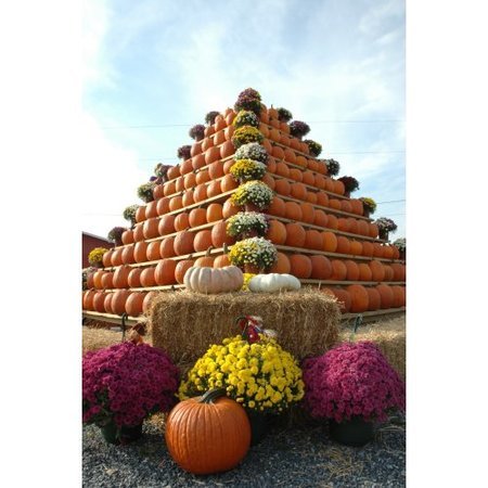 South Jersey Pumpkin Show, Woodstown, New Jersey, United States