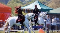 The Wimbledon Fayre