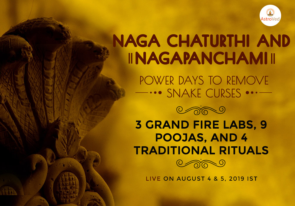 Naga Chaturthi & Panchami: Power Days to Remove Snake Curses, Chennai, Tamil Nadu, India