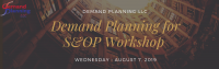 Demand Planning for S&OP Workshops