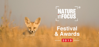 Nature inFocus Festival 2019, Bangalore, Karnataka, India