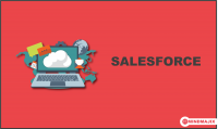 Salesforce Business Analyst Training By Industry Experts!!