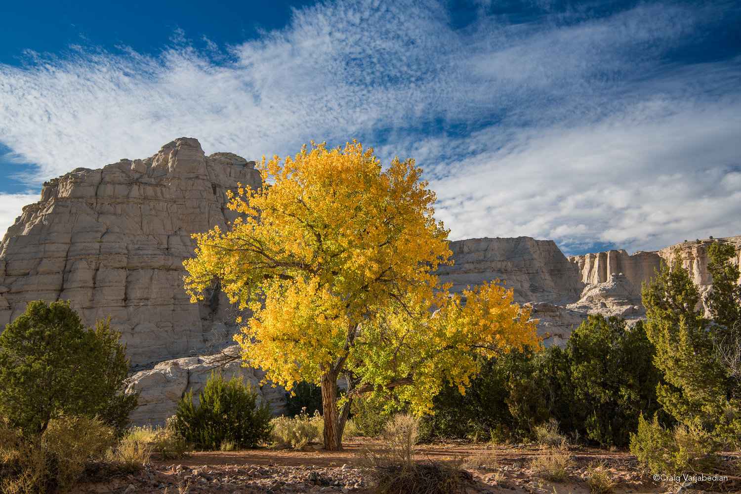 Falling for New Mexico Photo Workshop, Santa Fe, New Mexico, United States