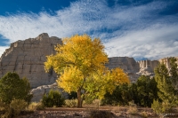 Falling for New Mexico Photo Workshop