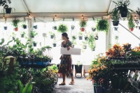 Melbourne - Huge Indoor Plant Sale - Rumble in the Jungle