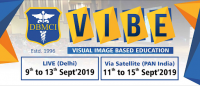 VIBE 2019