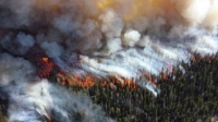Wildfire Smoke and Your Health