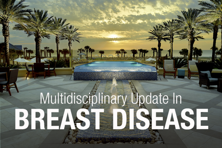 Multidisciplinary Update in Breast Disease 2019, Fernandina Beach, Florida, United States