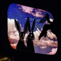 After Dark: Nature's Cabaret