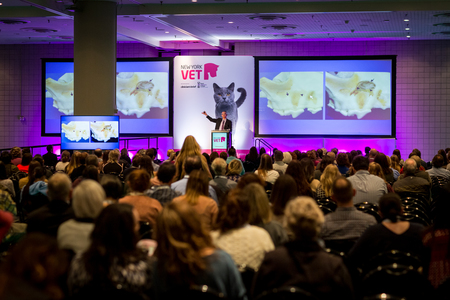 New York Vet Conference and Exhibition 2019, New York, United States