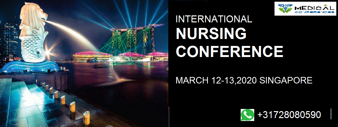 International Nursing Conference, Eindhoven, Noord-Holland, Netherlands