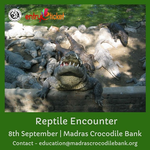 Reptile Encounter - Entryeticket, Chennai, Tamil Nadu, India