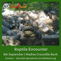 Reptile Encounter - Entryeticket