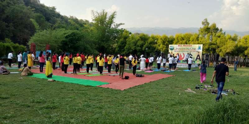 200 Hour Yoga Teacher Training in Rishikesh, Dehradun, Uttarakhand, India