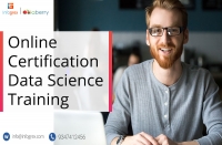 Online Data Science Training by Infogrex