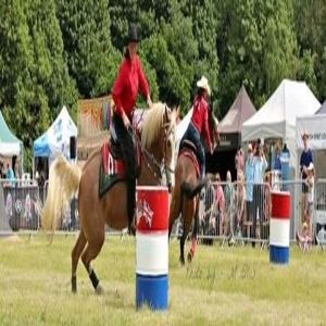 The Essex Country Show, Brentwood, Essex, United Kingdom