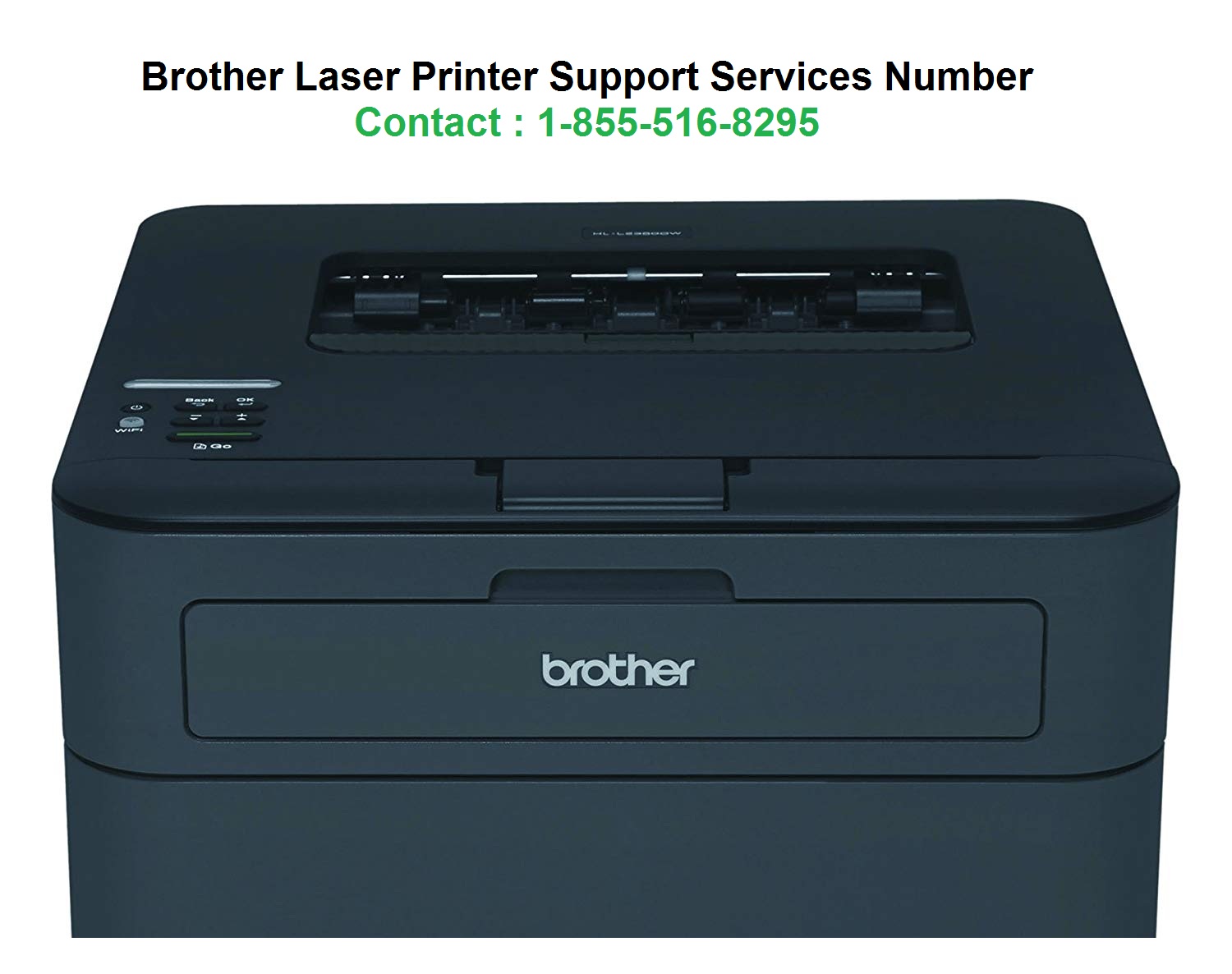 Brother Laser Printer Customer Service 1-855-516-8595 Contact Support Number, Allegany, New York, United States