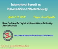 International Summit on Nanomedicine & Nanotechnology