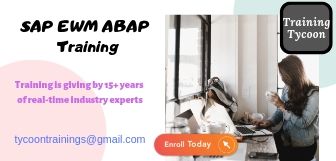 SAP EWM ABAP Training | EWM ABAP Classroom Training, Hyderabad, Telangana, India