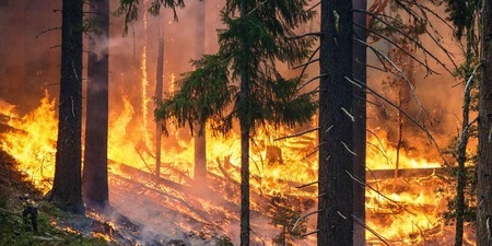 Hot Topics: Living with Wildfires - FREE Panel Discussion, North Vancouver, British Columbia, Canada