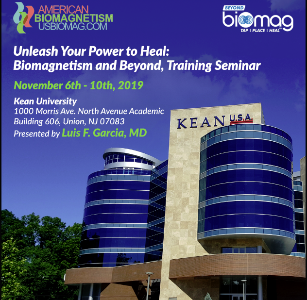 Biomagnetism and Beyond, Training Seminar Nov 6th-10th, 2019, Bangalore, Karnataka, India