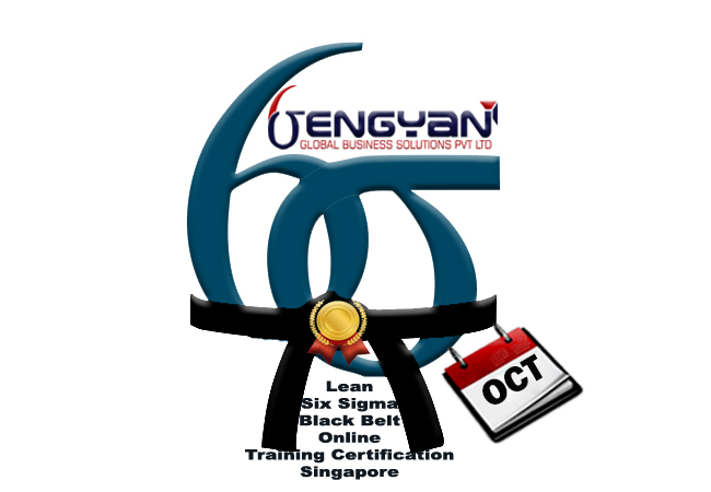 Lean Six Sigma Black Belt Certification Online Training at Singapore, Singapore