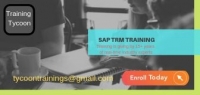 SAP TRM Training | SAP Treasury and Risk Management Online Training