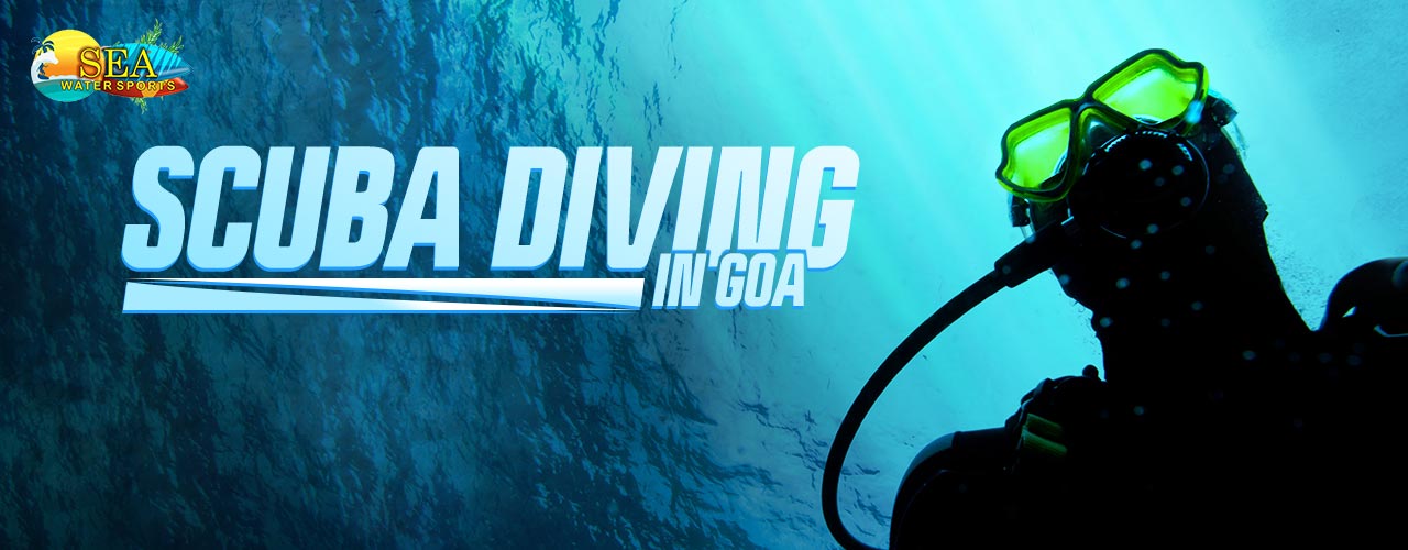 Scuba Diving In Goa, North Goa, Goa, India
