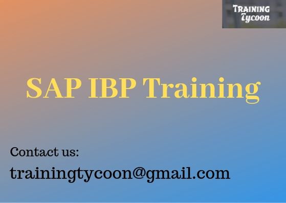SAP IBP Training | SAP IBP Online Training- TrainingTycoon, Hyderabad, Telangana, India