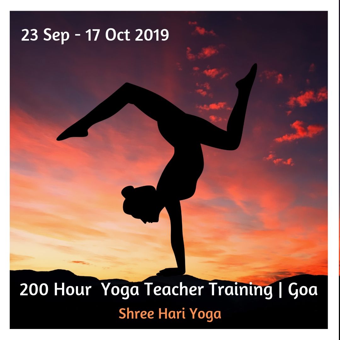 Best Yoga Teacher Training In India, North Goa, Goa, India