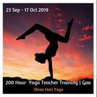 Best Yoga Teacher Training In India