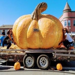 49th Half Moon Bay Art And Pumpkin Festival, Celebrating the Great Gourd, Half Moon Bay, California, United States