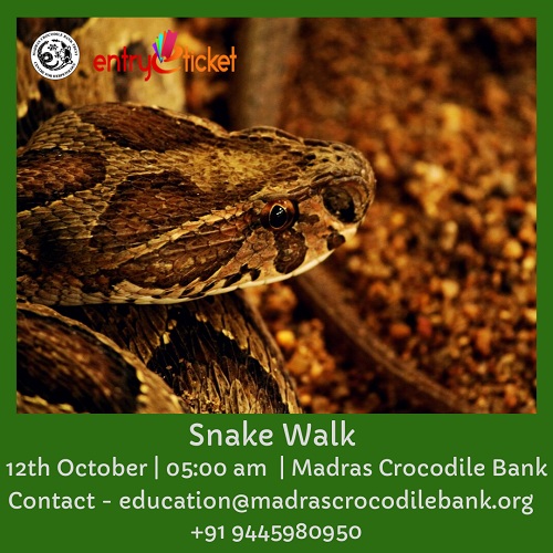 Snake Walk!  - Entryeticket, Chennai, Tamil Nadu, India