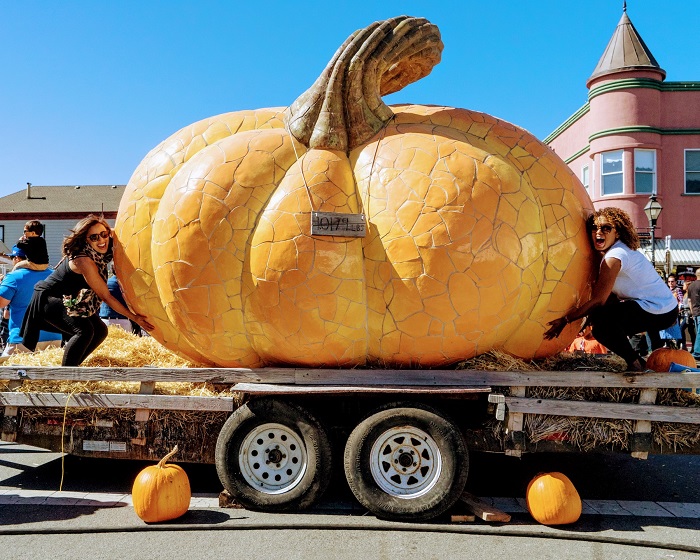 49th Half Moon Bay Art & Pumpkin Festival, Celebrating the Great Gourd, San Mateo, California, United States