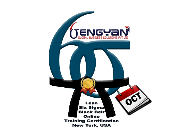 Lean Six Sigma Black Belt Certification Online Training at New York, New York, United States