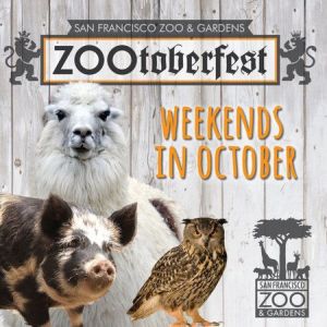 ZootoberFest, San Francisco, California, United States