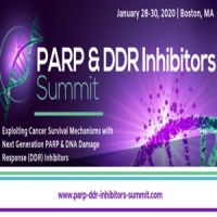 PARP & DDR Inhibitors Summit 2020
