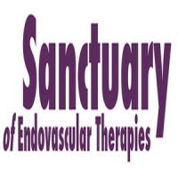 Sanctuary of Endovascular Therapies 2020