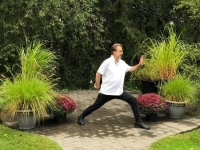 Intro to Tai Chi and Qigong Workshop