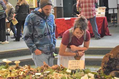 9th Annual Festival of the Fungus, Estacada, Oregon, United States