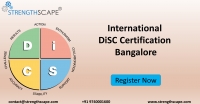 DiSC Certification – Bangalore