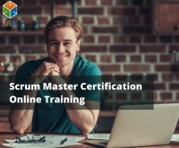 Professional Scrum Master (PSM) Training  | PSM Online training