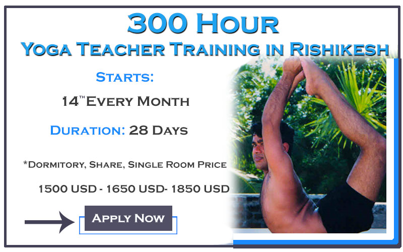 300 Hours Yoga Teacher Training in Rishikesh 2019, Tehri Garhwal, Uttarakhand, India