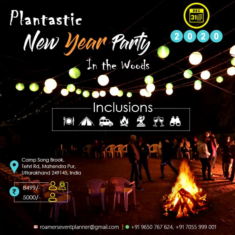 Plantastic New Year Party-In The Woods, Dehradun, Uttarakhand, India