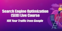 SEO Search Engine Optimization Live Training